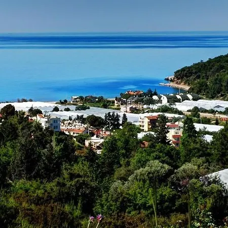 Apartament Ezgi Apart *