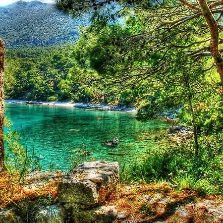 Ezgi Apart *